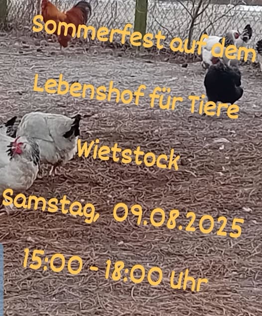 Sommerfest